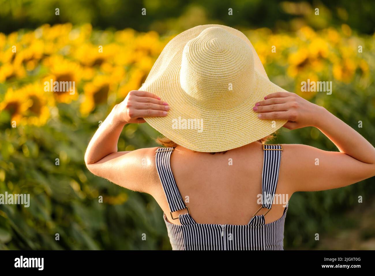 Lady holds straw hat with hands looking at sunflowers in agricultural field. Young woman poses for photo in countryside backside close view Stock Photo