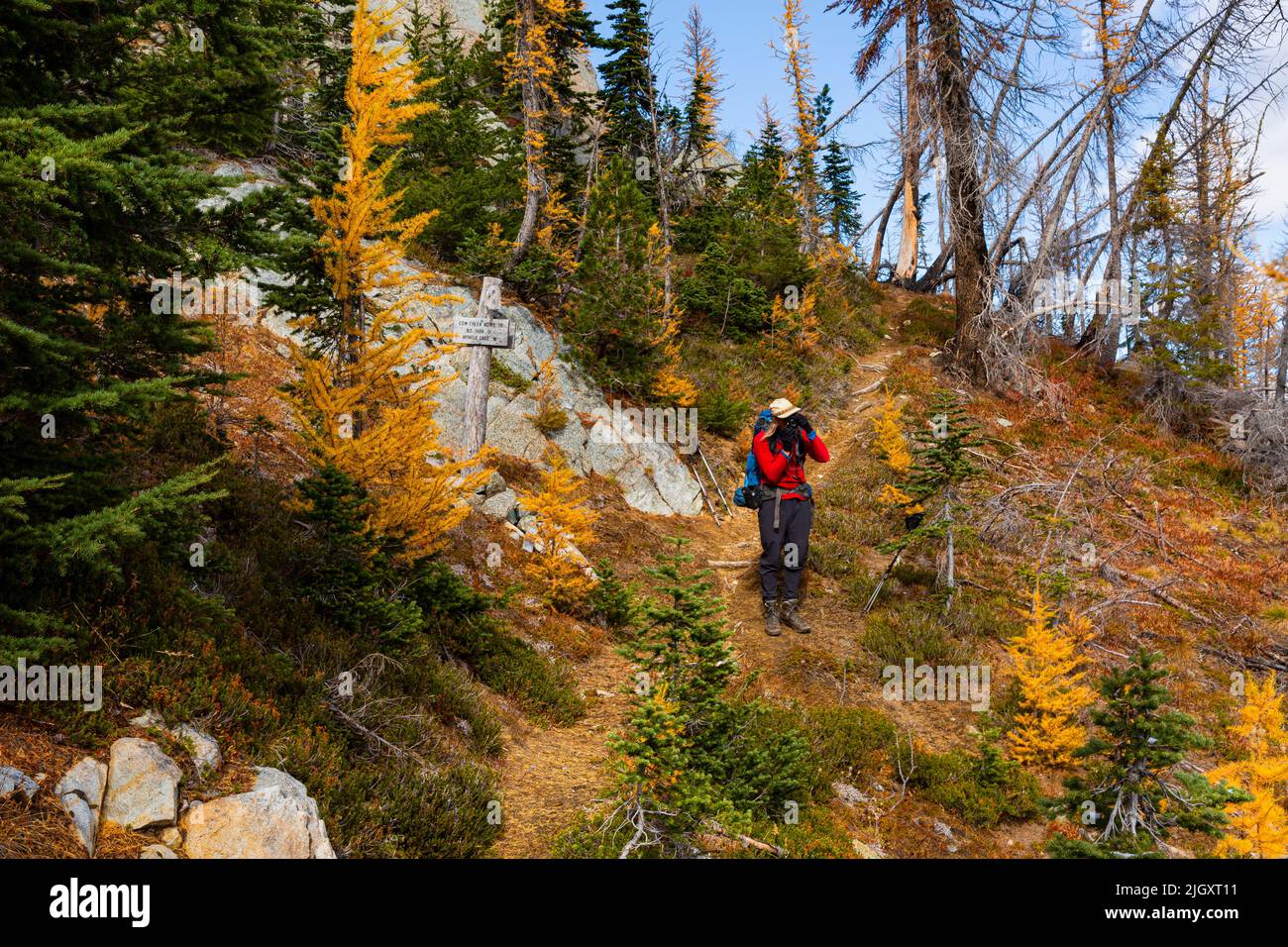 WA21711-00...WASHINGTON - Backpacker at the intersection of the Cow Creek Meadow and the Garland Peak Trails; fall time in the Glacier Peak Wilderness Stock Photo