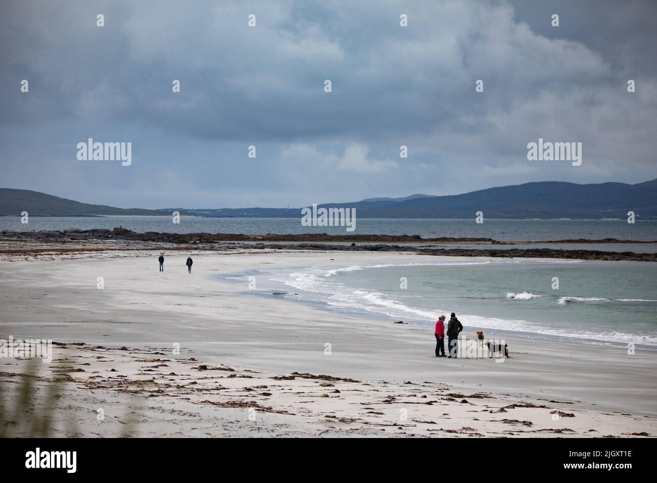 A woman in a red coat, with other people and dogs on Gearraidh na Monadh beach on South Uist in the Hebrides. Stock Photo