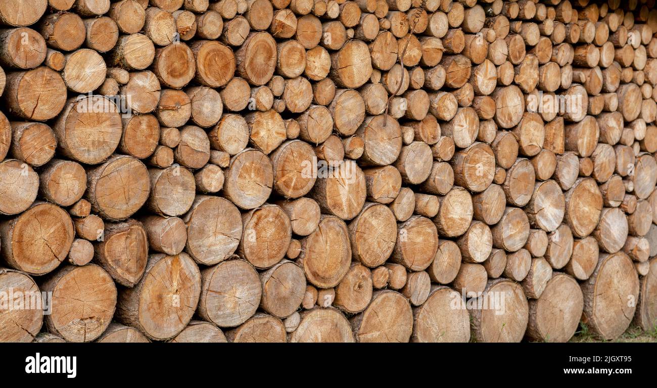 A woodpile of chopped lumber in the backyard. A big pile of wood logs. Fuel wood. Stock Photo