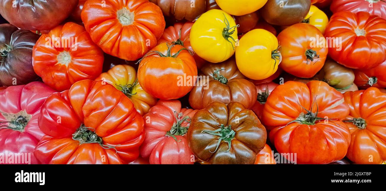 Heirloom tomatoes loosely displayed on a market stand with varying size, shapes and textures seen from directly above. Stock Photo