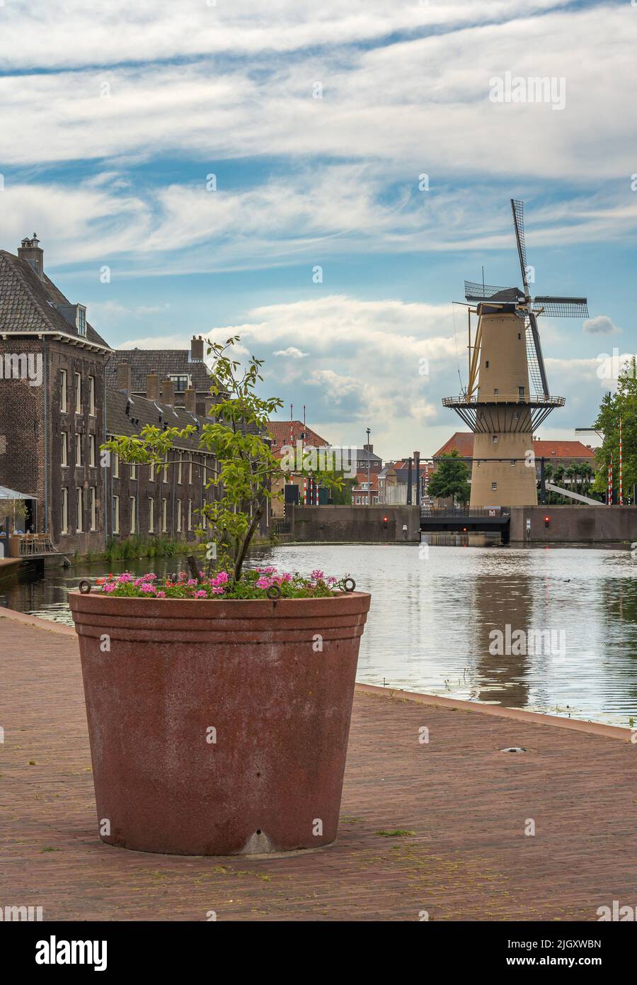 Historical dutch windmill in the city of Schiedam with big decorative pot with flowers in the foreground Stock Photo