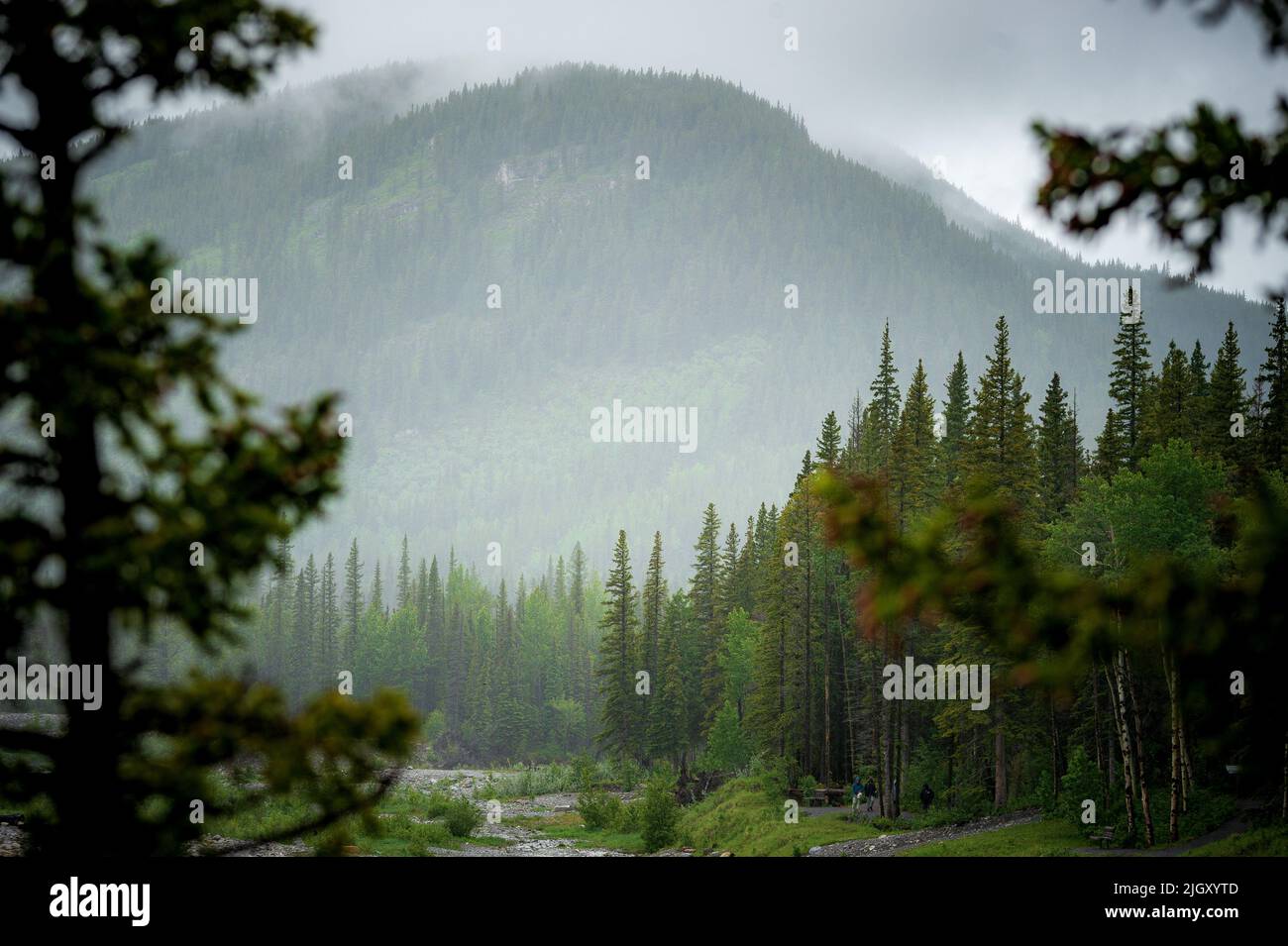 Alberta bragg creek hi-res stock photography and images - Alamy