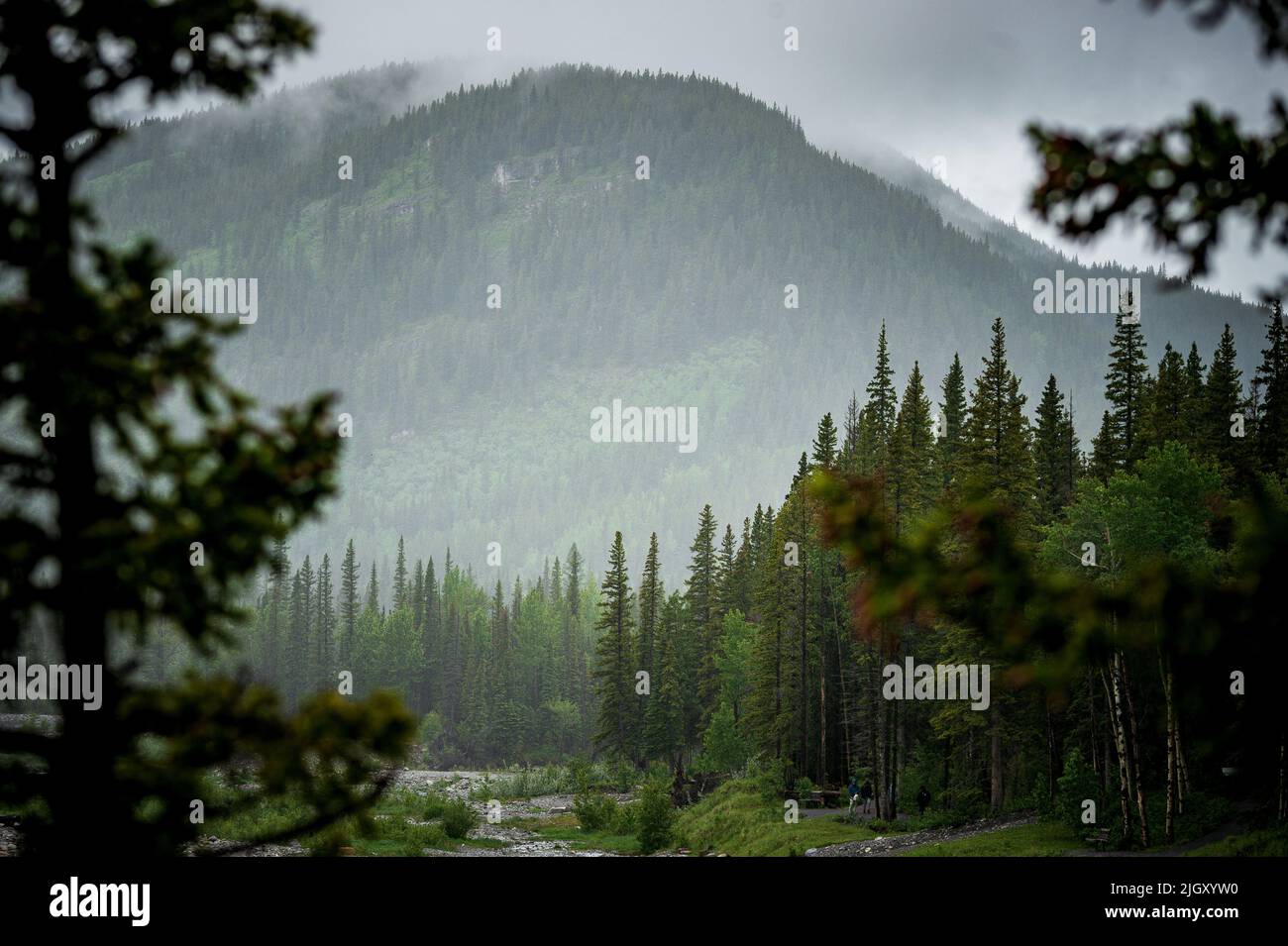 Alberta bragg creek hi-res stock photography and images - Alamy