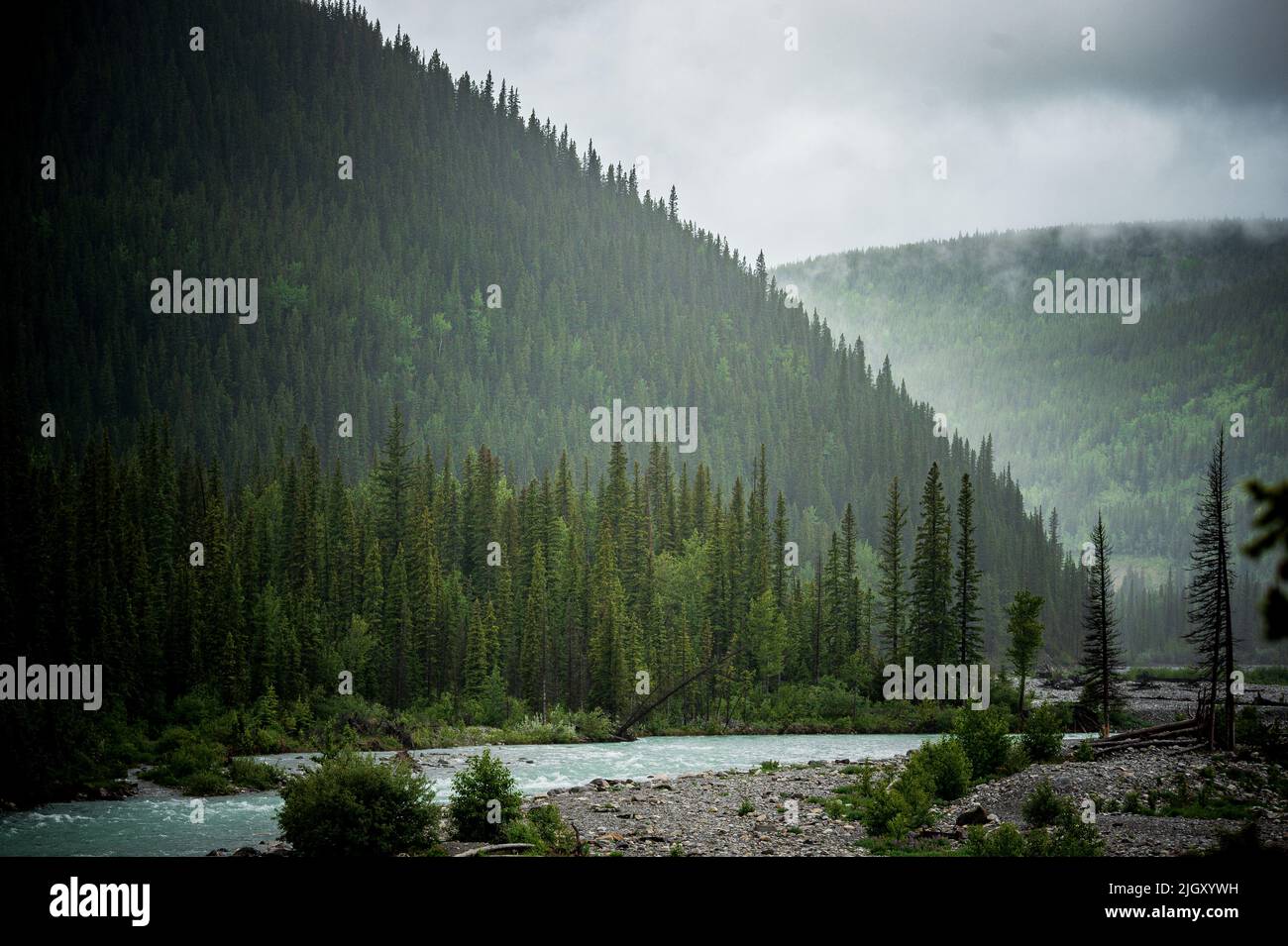 Alberta bragg creek hi-res stock photography and images - Alamy