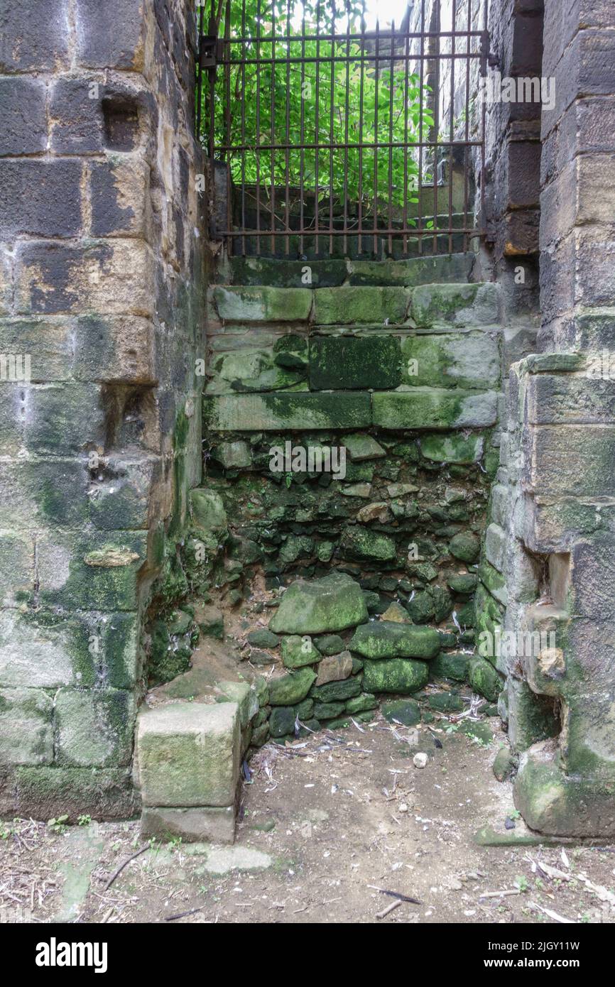 Staircase/steps ruin into Kirkstall Abbey, a ruined Cistercian