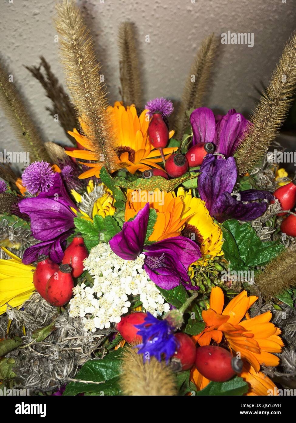 Wiesenblumen Strauß mit Malve, Hagebute, Ringelblume und Gräsern Stock Photo