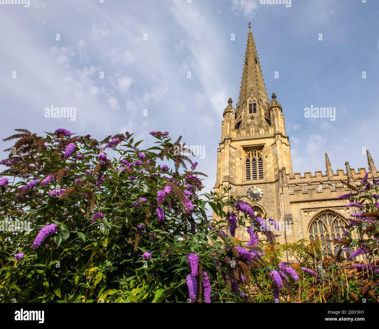 The historic St. Marys church, also known as the Church of St. Mary the Virgin, in the beautiful market town of Saffron Walden in Essex, UK. Stock Photo