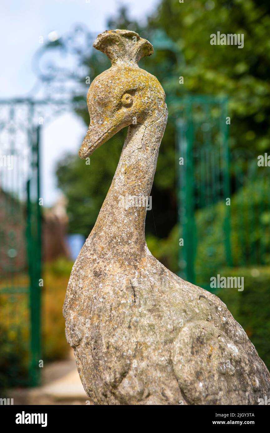 Close-up of a beautiful stone sculpture of a Peacock in Bridge End Garden in the town of Saffron Walden in Essex, UK. Stock Photo