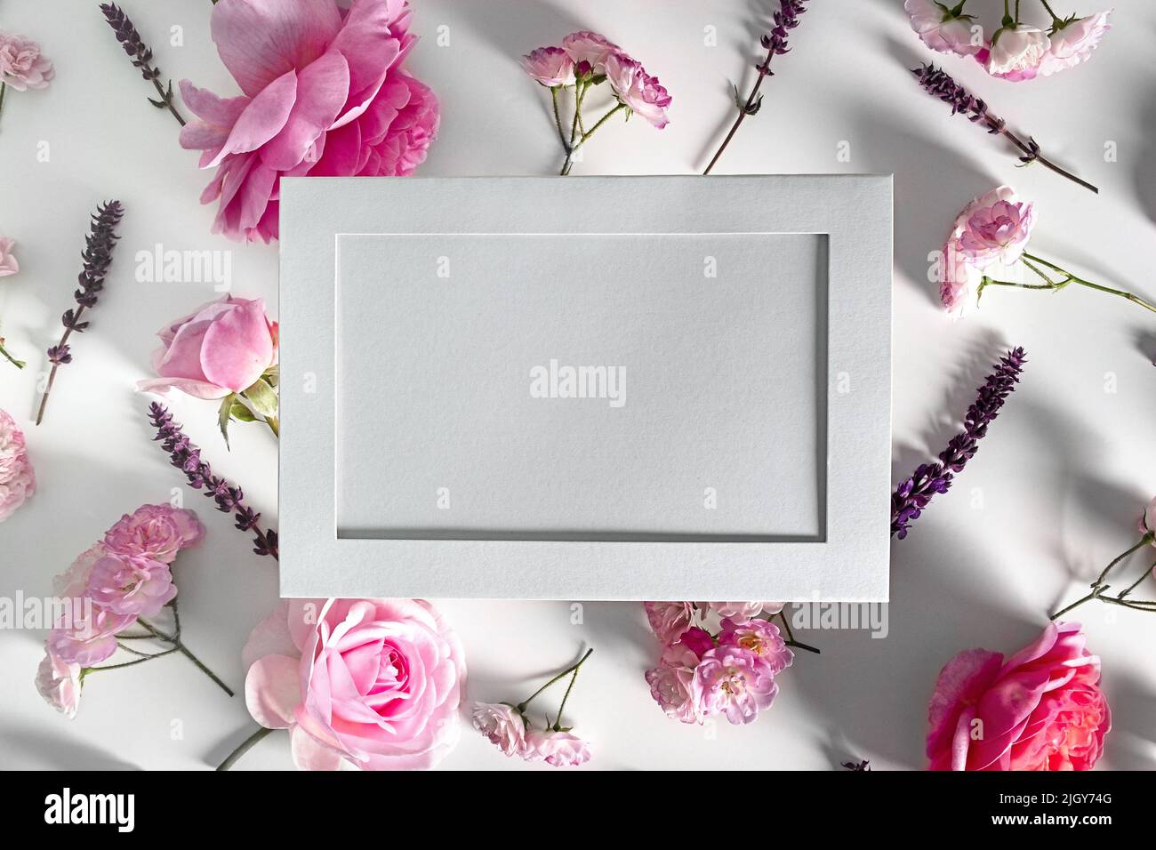 Floral frame of pink flowers on white or pink background. Flat lay, top