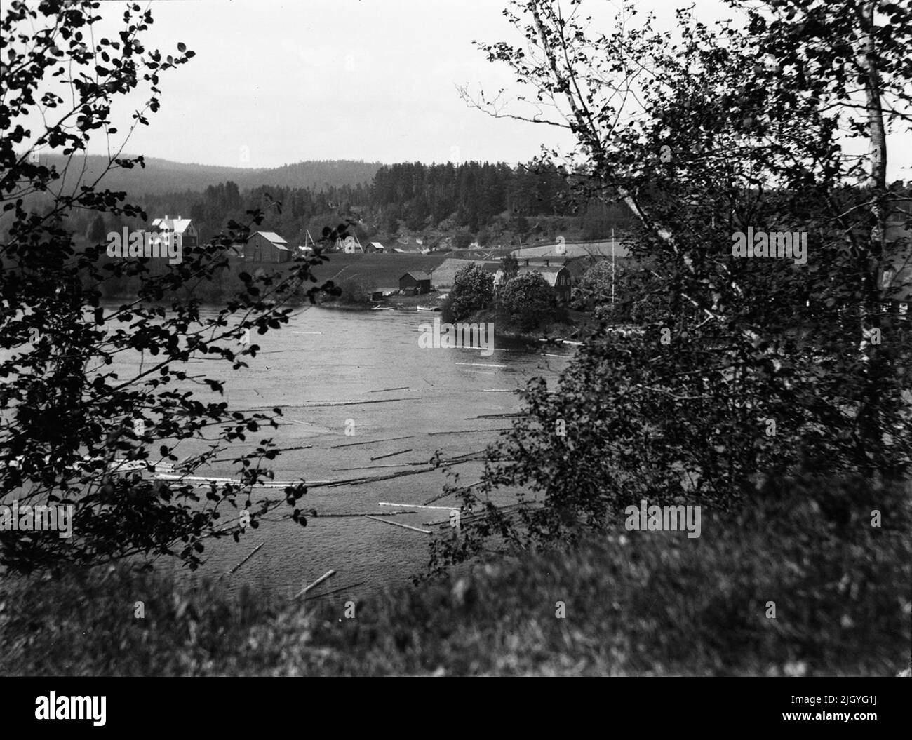 View of the river, probably Medelpad. Josef Ärnström's image collection was acquired by the Upplands Museum 2011.Josef Ärnström was born in 1887 in Keps, Hållnäs parish, Uppland. He was married to Nora Selldin, born in Timrå, Medelpad. Both Josef and his wife Nora took their degrees around 1910 at the teacher's seminar in Uppsala. In Medelpad, the couple received their first teacher services at Berge school as a newlyweds about 1910-12. The relocation then moved on to Lapland where Josef was employed in Toulleuvaara between about 1913-18. Joseph ended his career as an exercise teacher from abo Stock Photo