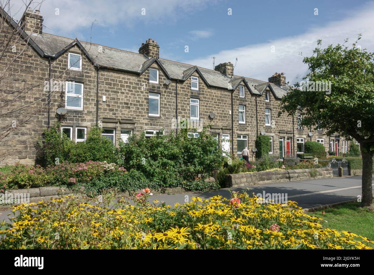 Stone cottages of Back Bridge Avenue (back garden side) beside the River Wharfe in Otley, West Yorkshire, UK. Stock Photo
