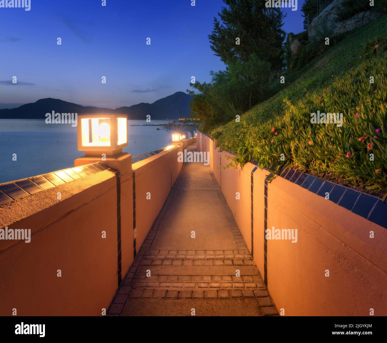 Amazing path with street lights on sea coast at night in summer Stock Photo