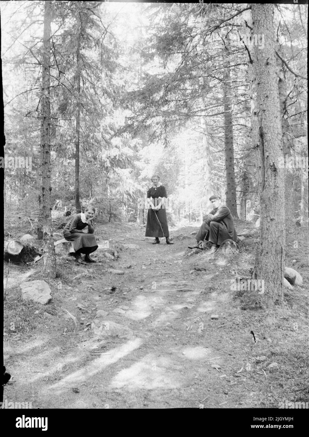 Two women and one man at the forest path, Östhammar, Uppland. Two women and one man at the forest path, Östhammar, Uppland Stock Photo