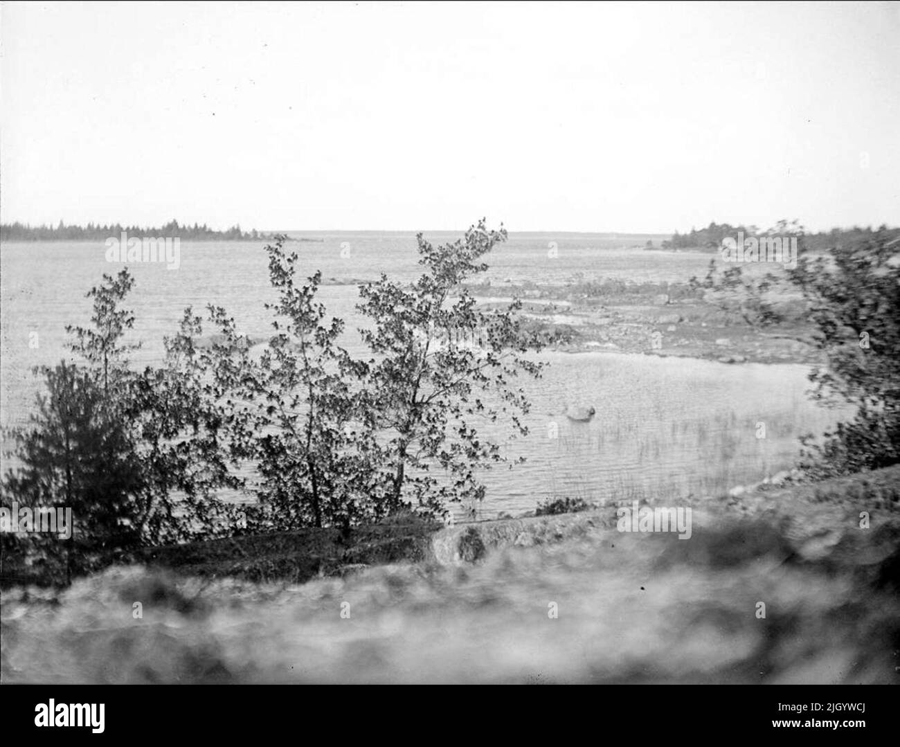 Skinnäsviken and Gräsö, from Öregrund, Uppland July 1924. Skinnäsviken ...