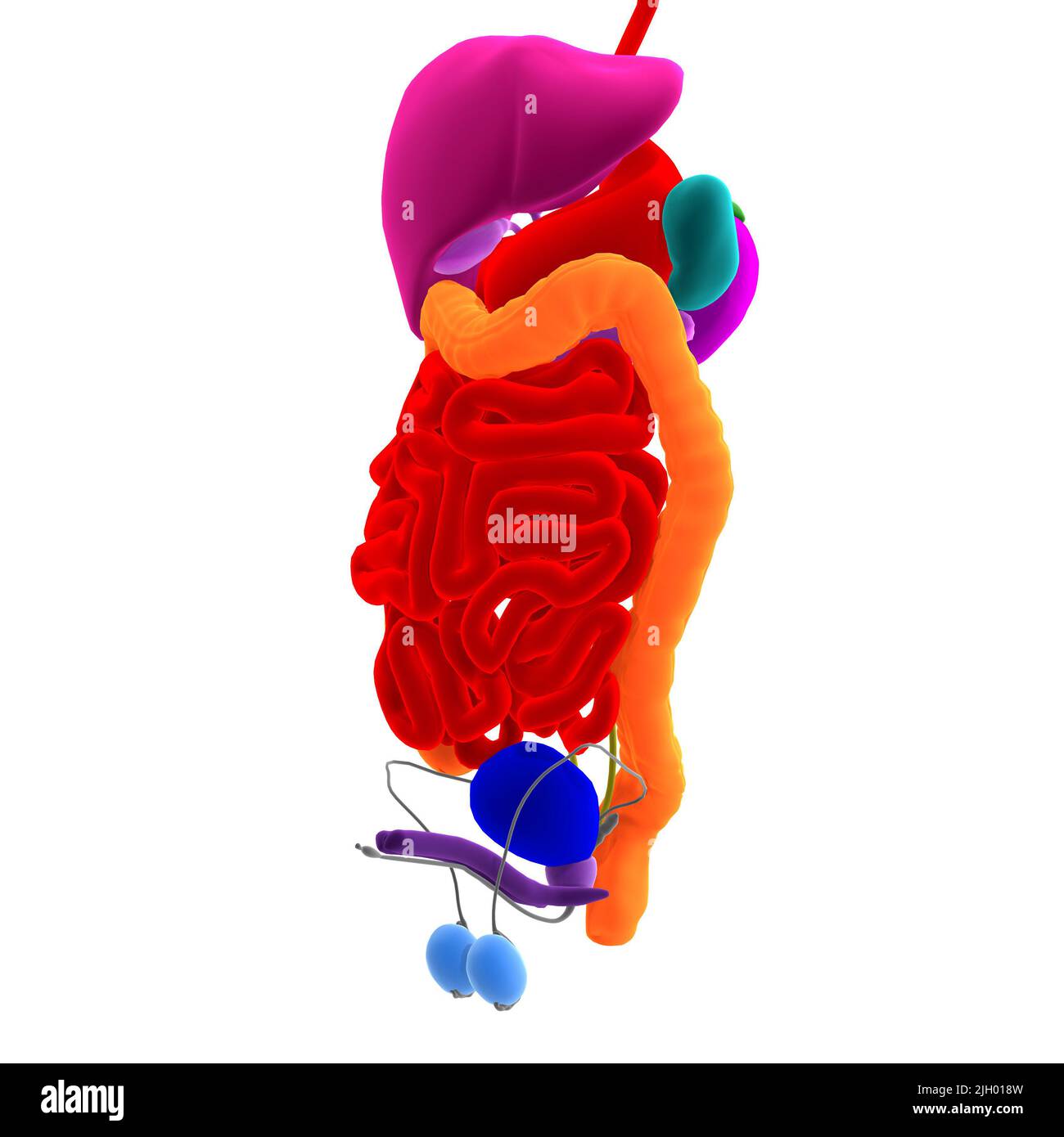 My Image 26