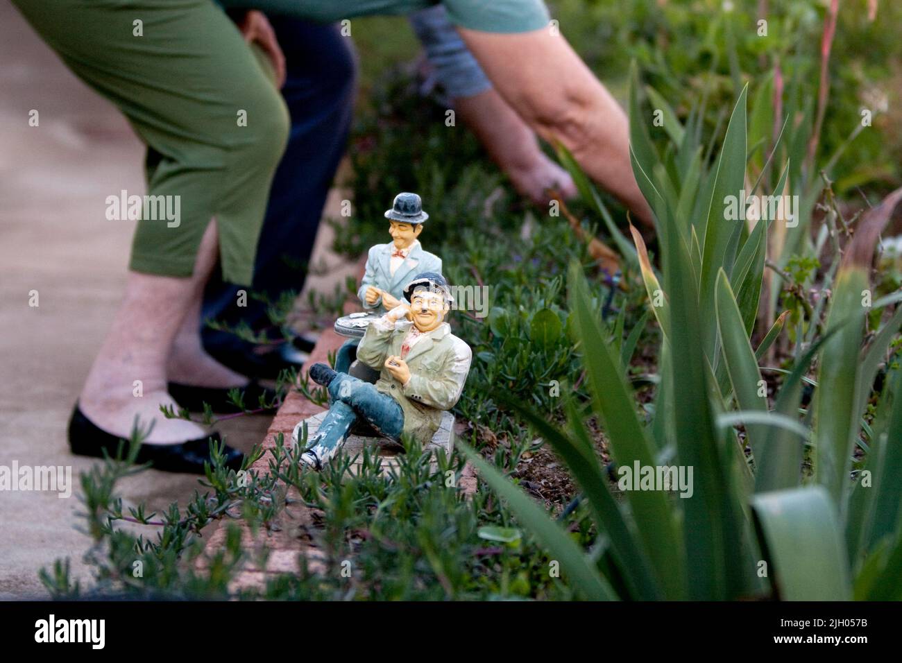 ELDERLY WOMEN GARDENING IN AN AGED CARE FACILITY Stock Photo