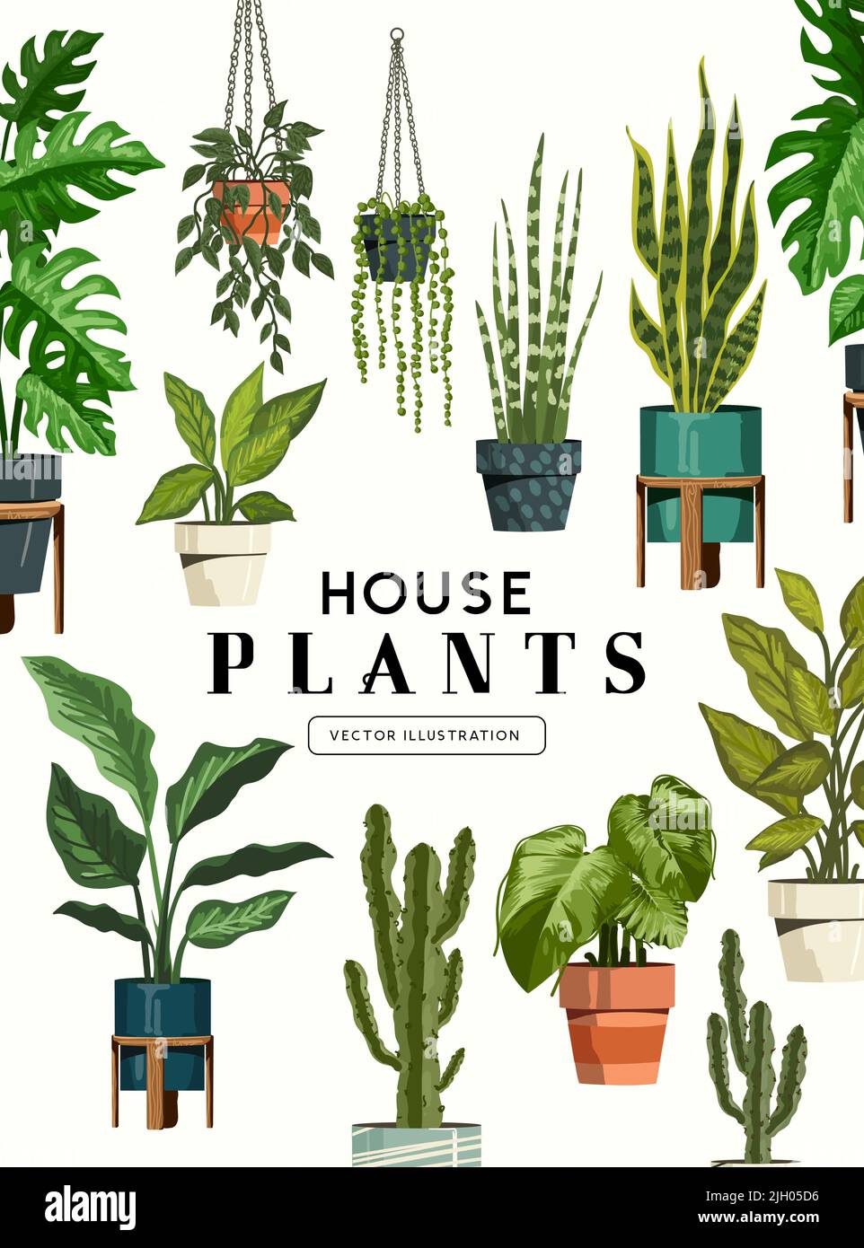 A varied collection of green indoor house plants. Botanical decoration vector illustration. Stock Vector
