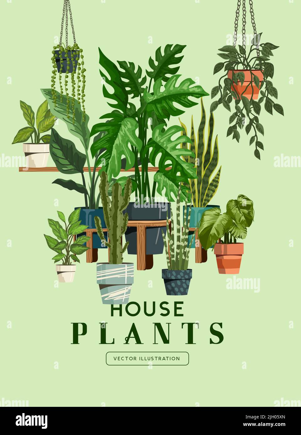 Indoor garden house plants collection. Botanical vector illustration. Stock Vector