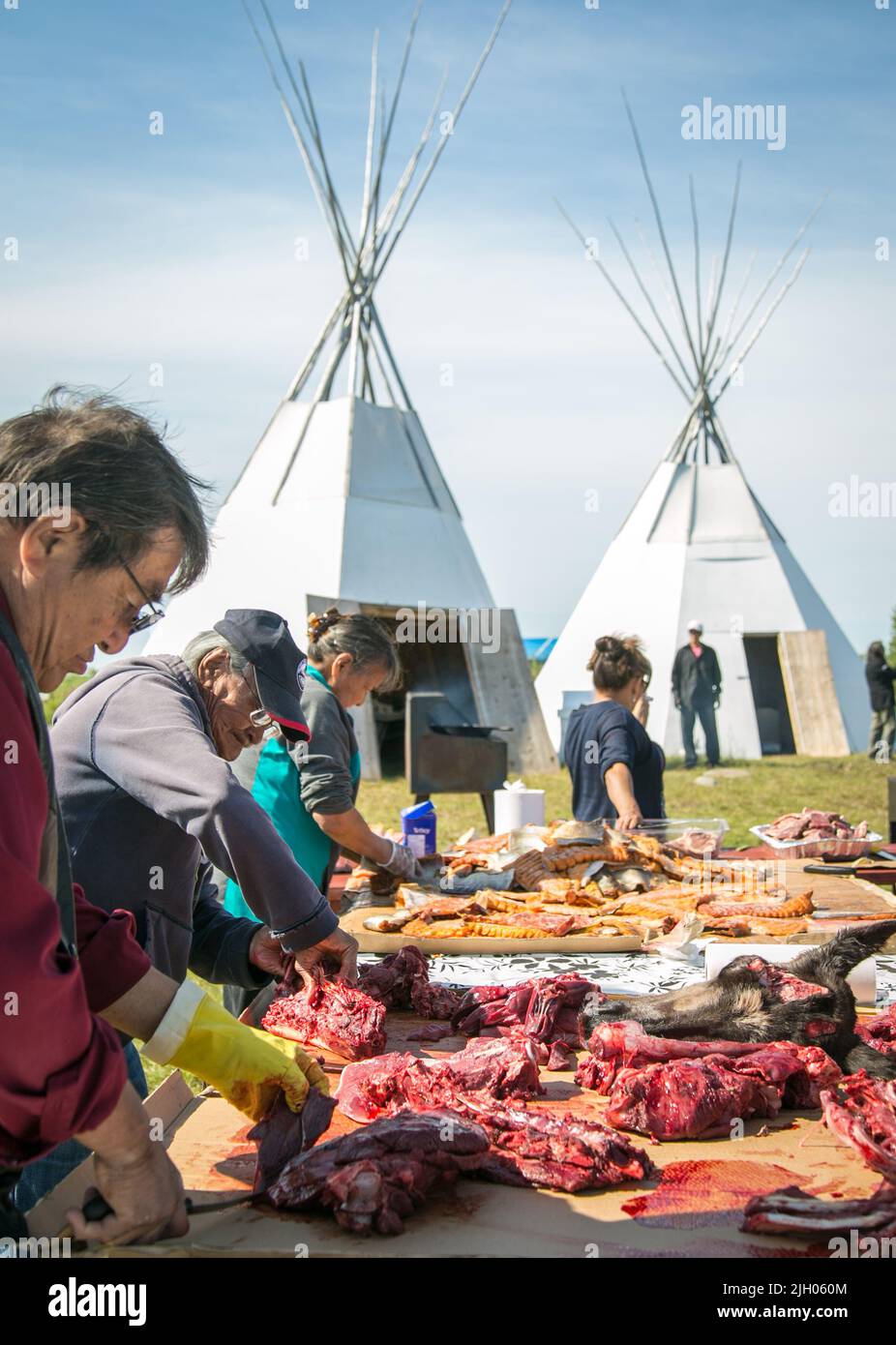 Dene Indigenous men preparing the meat for community feast in the summer, in northern village of Deline, Northwest Territories, Canada. Stock Photo