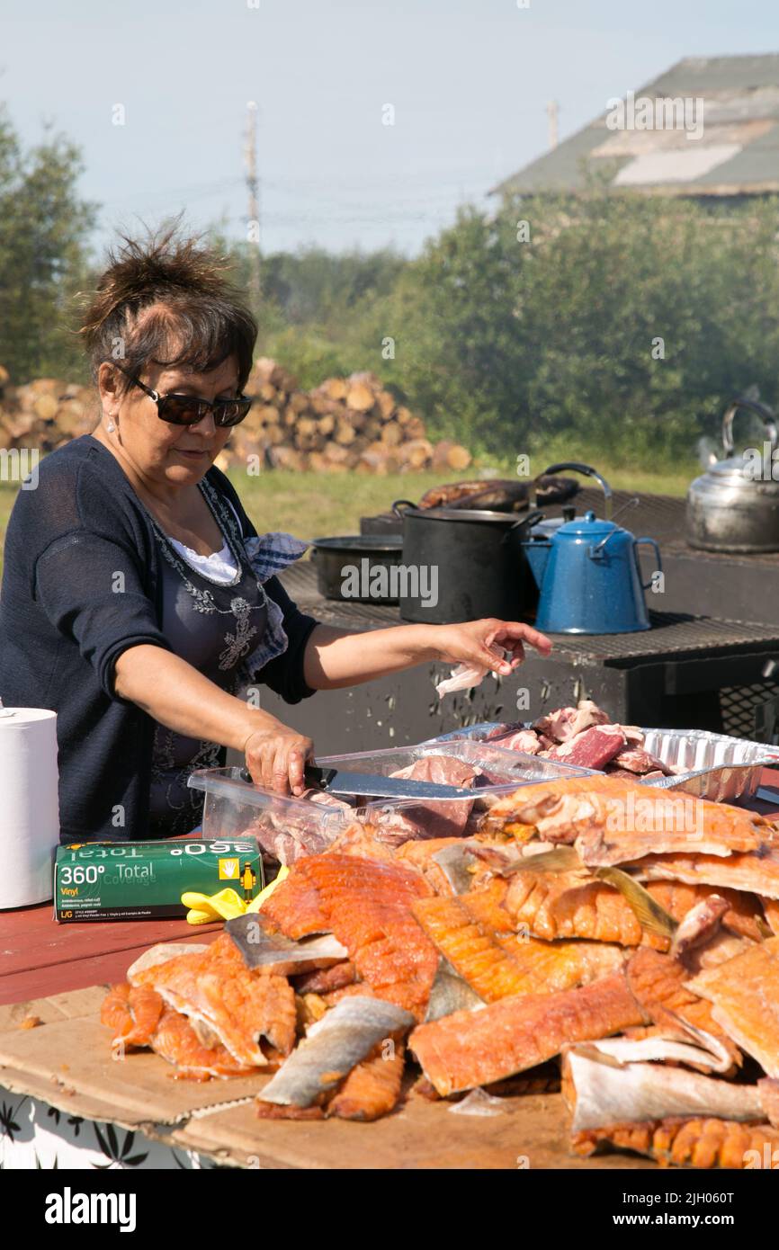 Dene Indigenous woman preparing fish fillets for community feast in summer, in northern community of Deline, Northwest Territories, Canada Stock Photo