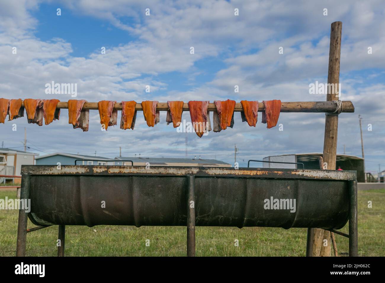 Fillets of Lake Trout being smoked above fire in the northern Indigenous community of Deline, Northwest Territories, Canada. Smoked fish is one of the Stock Photo