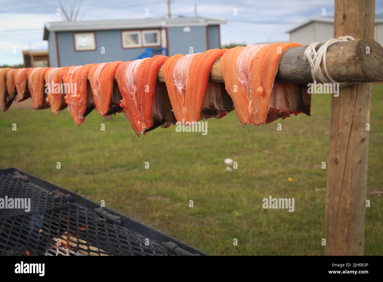 Fillets of Lake Trout fish being smoked above fire in the northern Indigenous community of Deline, Northwest Territories, Canada. Stock Photo