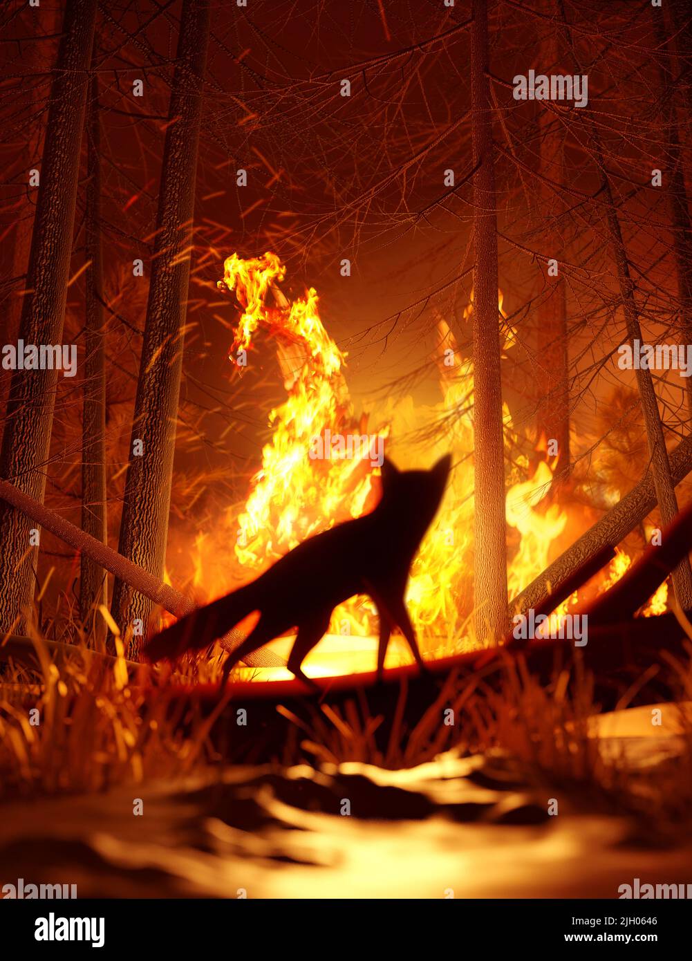 A fox quickly stops to watch the destruction of it's habitat caused by a forest fire before escaping. Climate change and extreme weather events 3D ill Stock Photo
