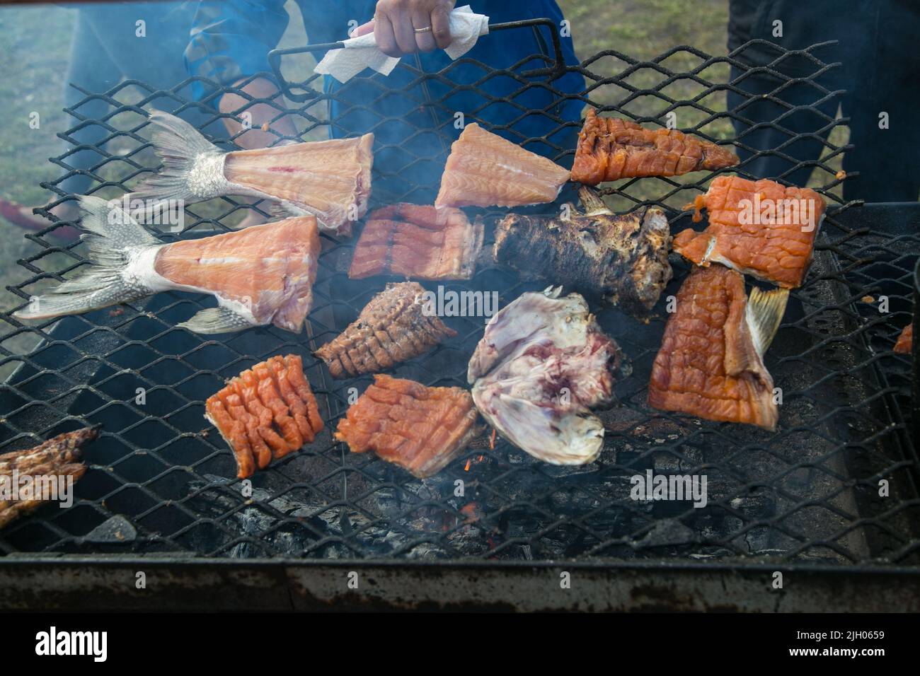 Barbecuing fish on a grill at a feast in the northern Indigenous