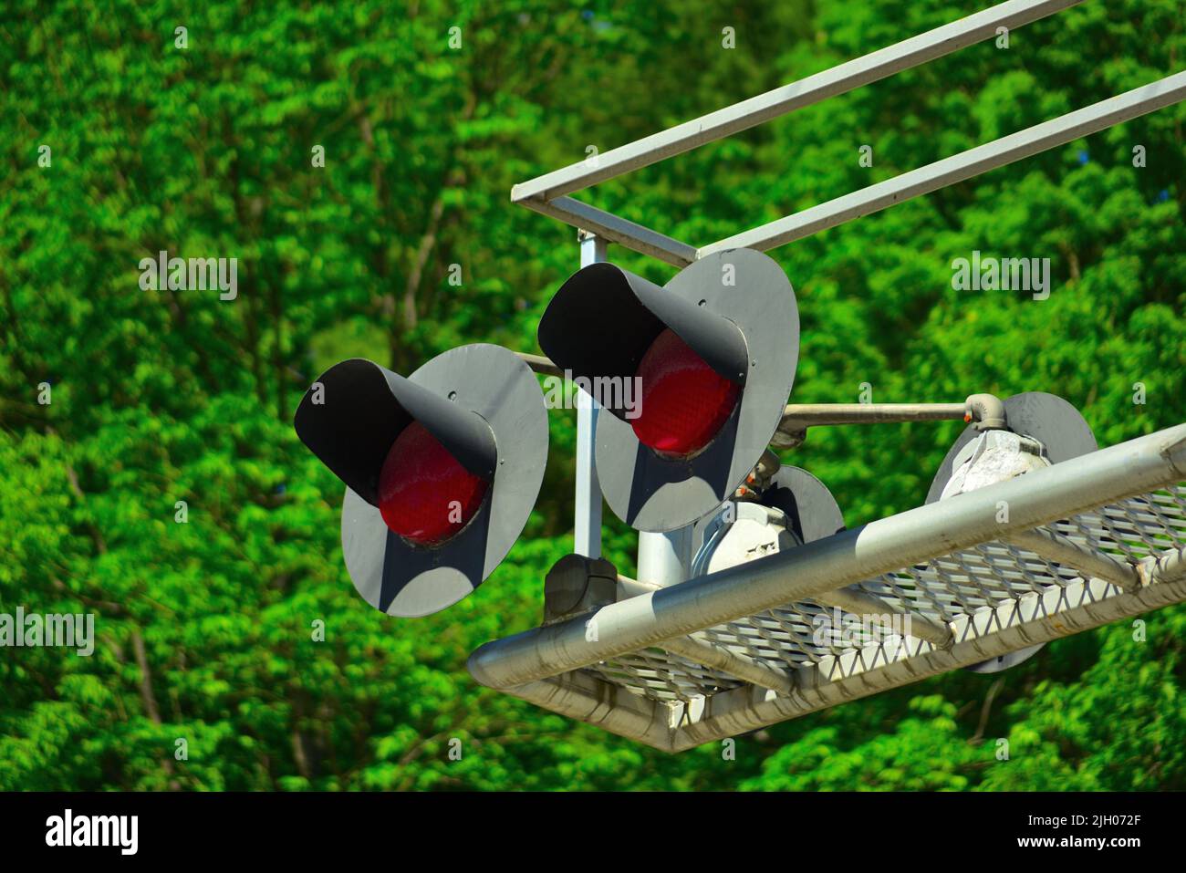 A shot of two traffic lights showing red signal against greenery