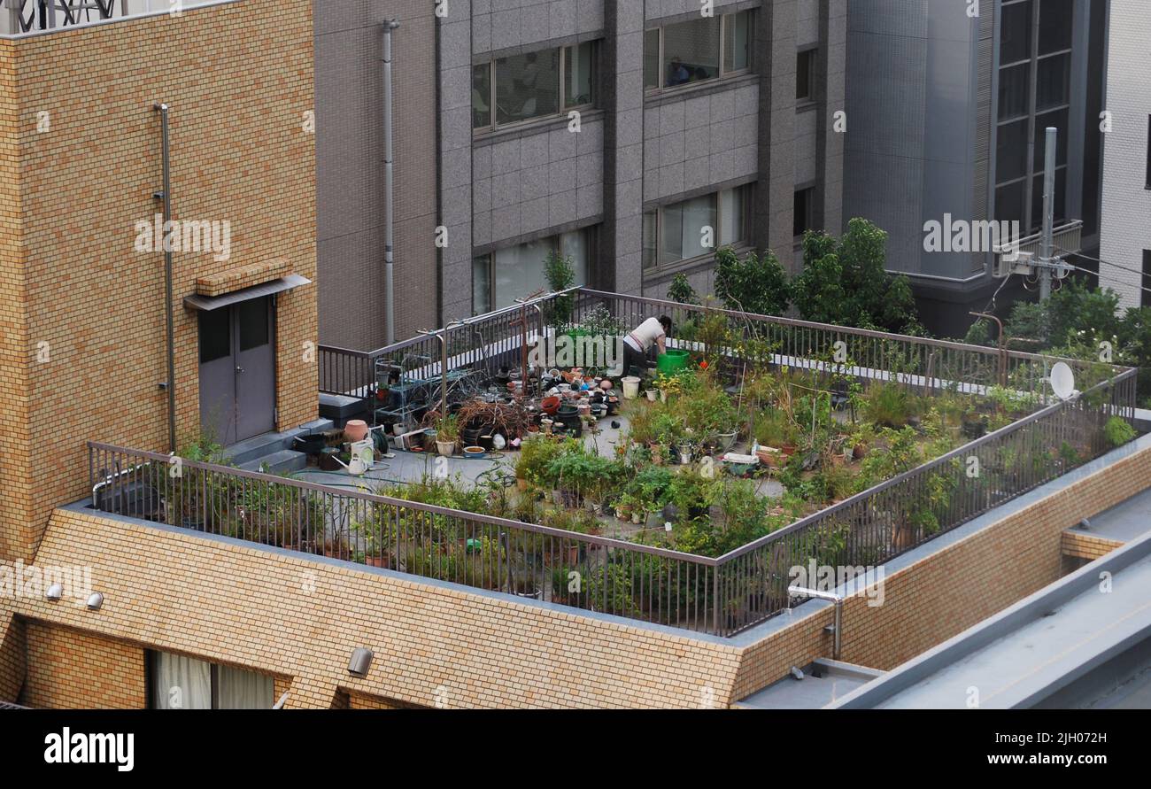Rooftop garden in Tokyo, Japan Stock Photo Alamy