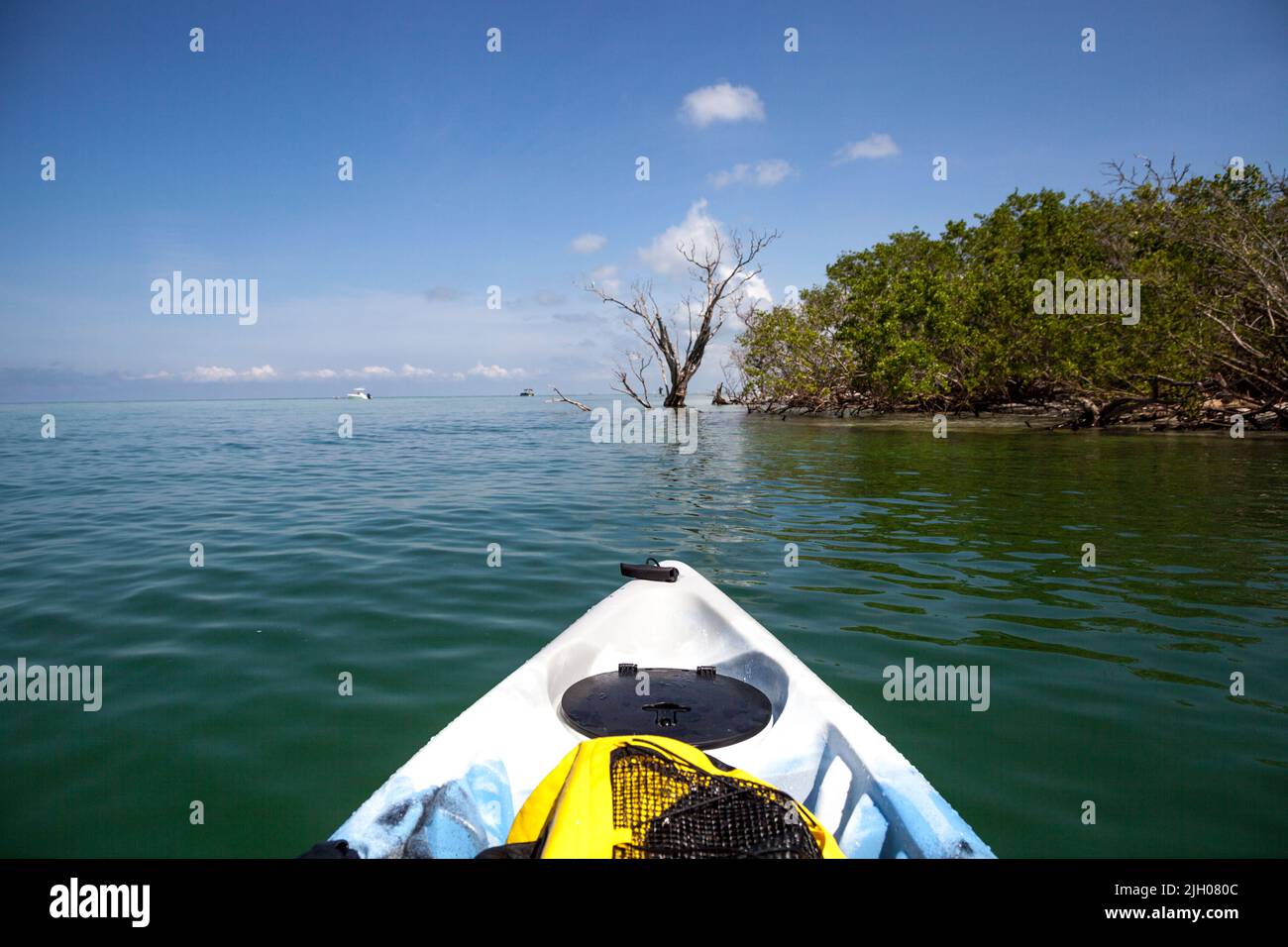 Kayak in the Old Hickory Pass waterway of in Bonita Springs, Florida in