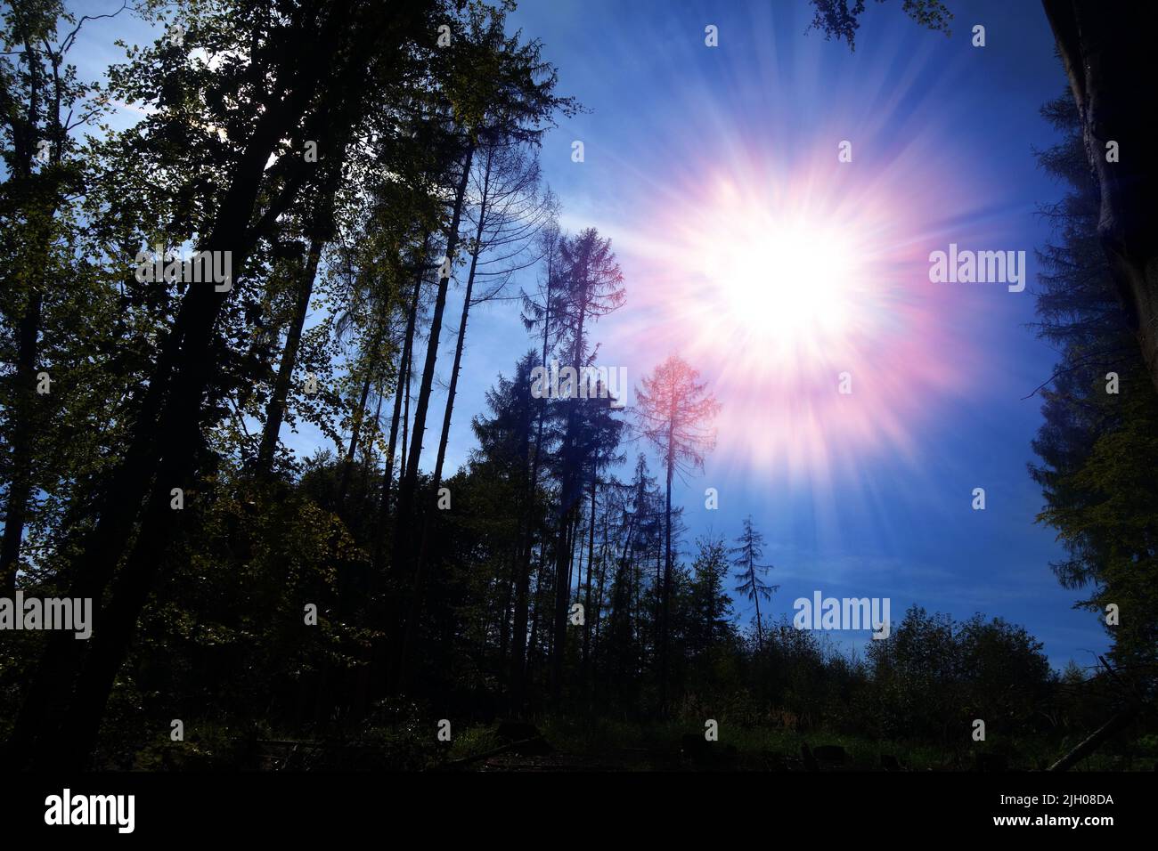 Tunguska event, illustration Stock Photo Alamy