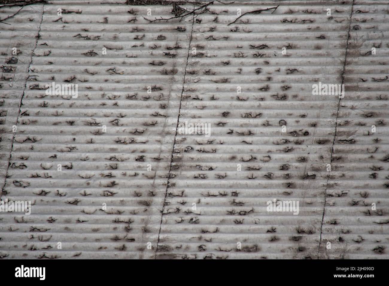 Abstract background. Texture. Corrugated steel sheet. Fooftop Stock Photo