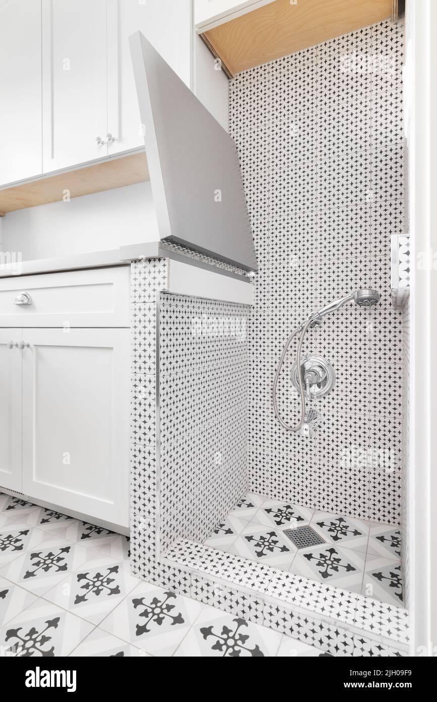 A pet wash station in a renovated laundry room with white cabinets, patterned tiles, and a chrome faucet. Stock Photo
