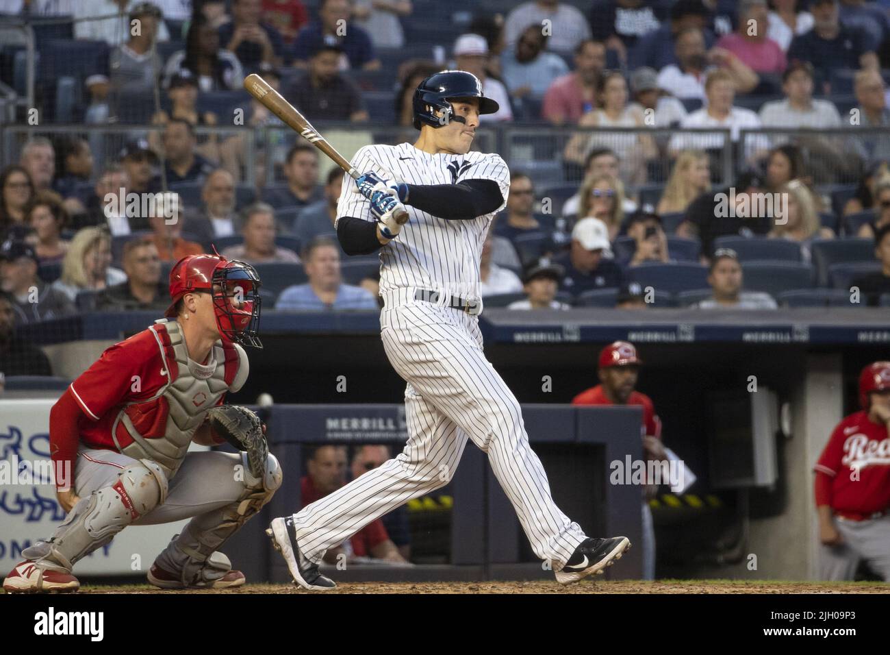 615 fotos e imágenes de Joey Gallo Baseball Player - Getty Images