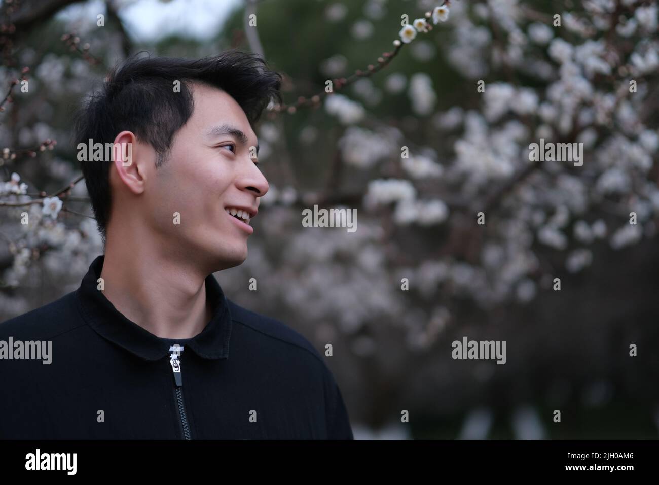 portrait of smiling Asian young man profile face with blur plum blossom flower tree Stock Photo