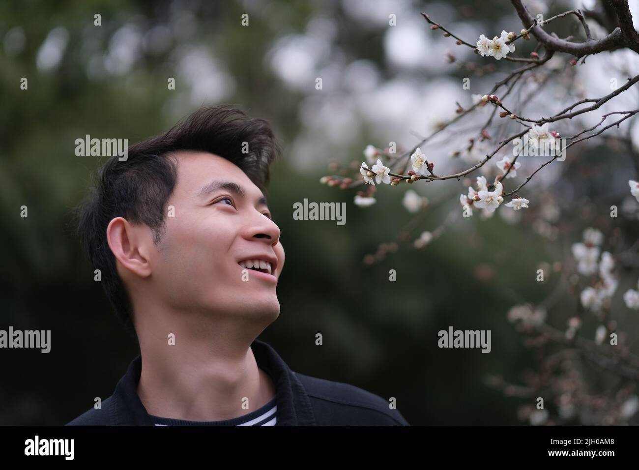 close up smiling Asian young man enjoy plum blossom flower. Handsome