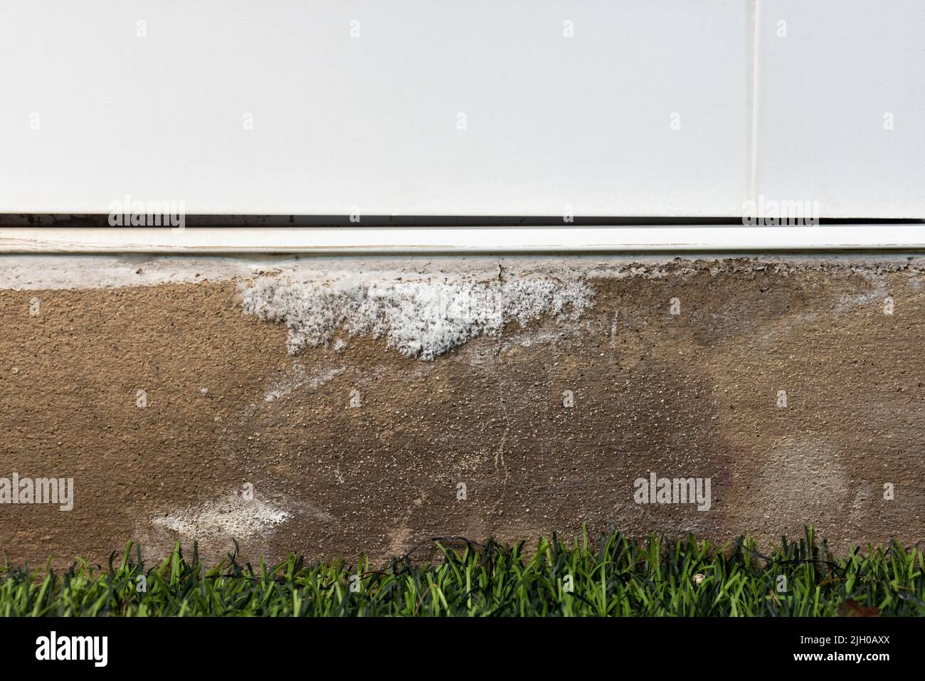 Efflorescence is stain white salt on moisture concrete wall Stock Photo