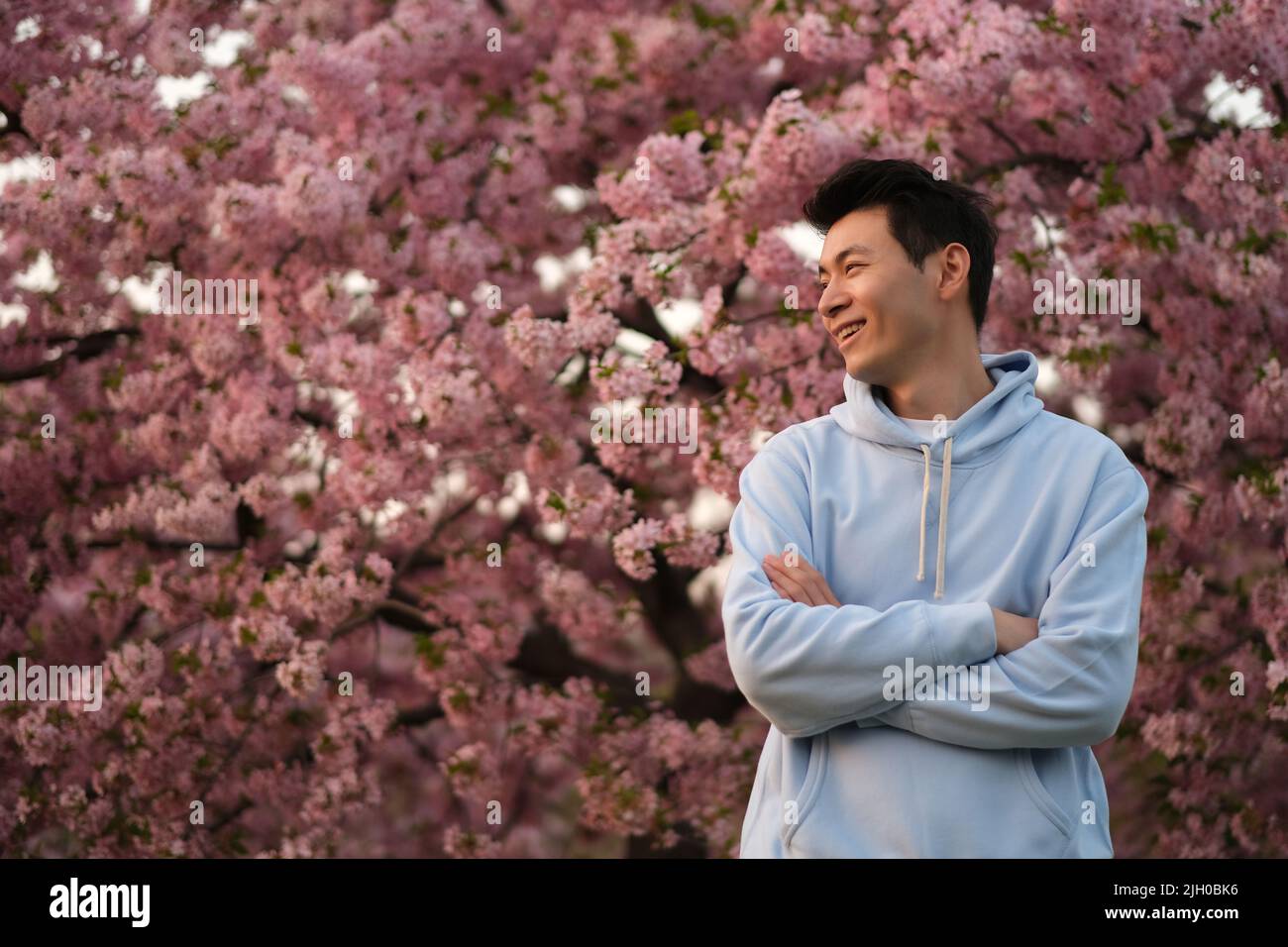 smiling Asian young man arm crossing, side face looking away. Blur pink sakura tree background Stock Photo