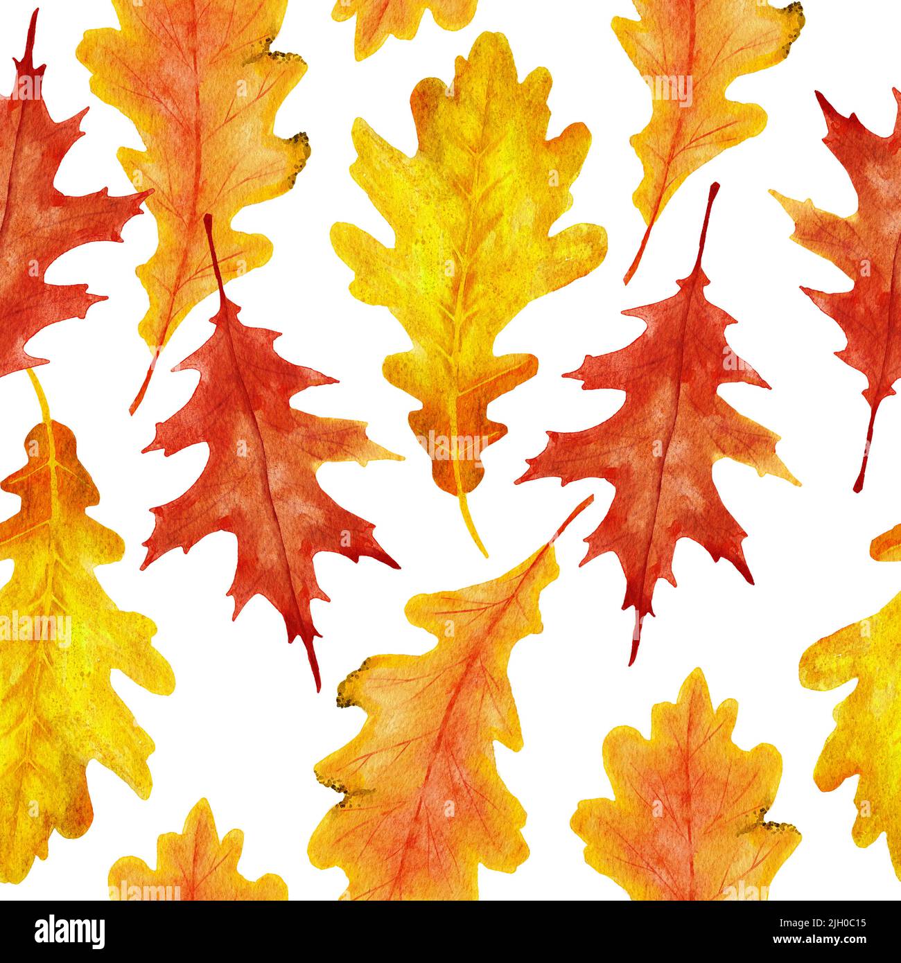 Vine maple leaf hi-res stock photography and images - Alamy