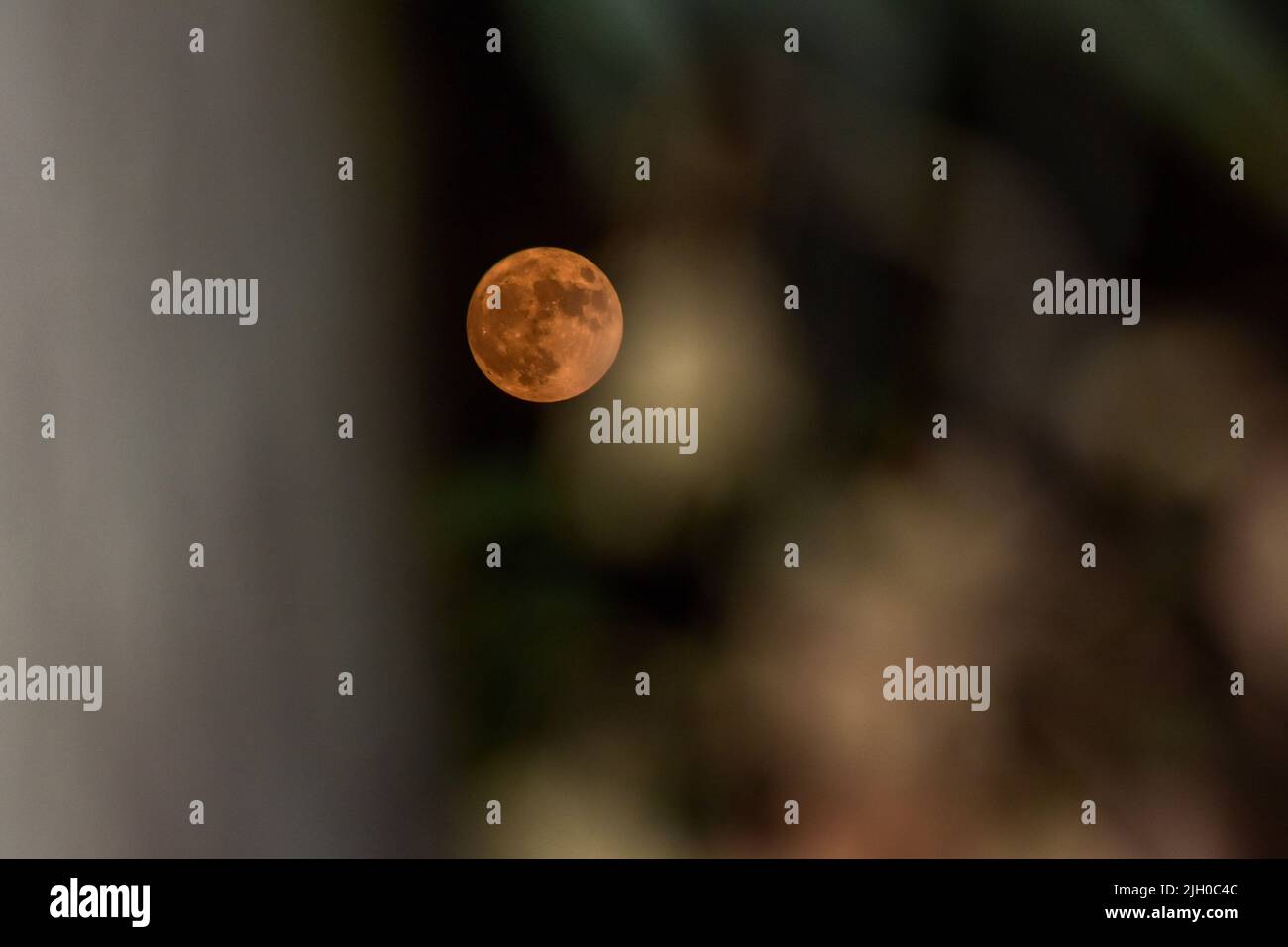 The biggest and brightest super Buck Moon rises in Srinagar. Stargazers