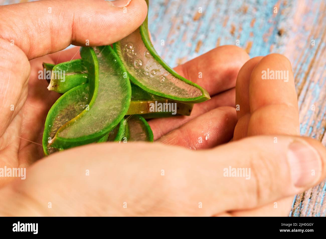 Pieces of aloe vera leaf and its gel Stock Photo