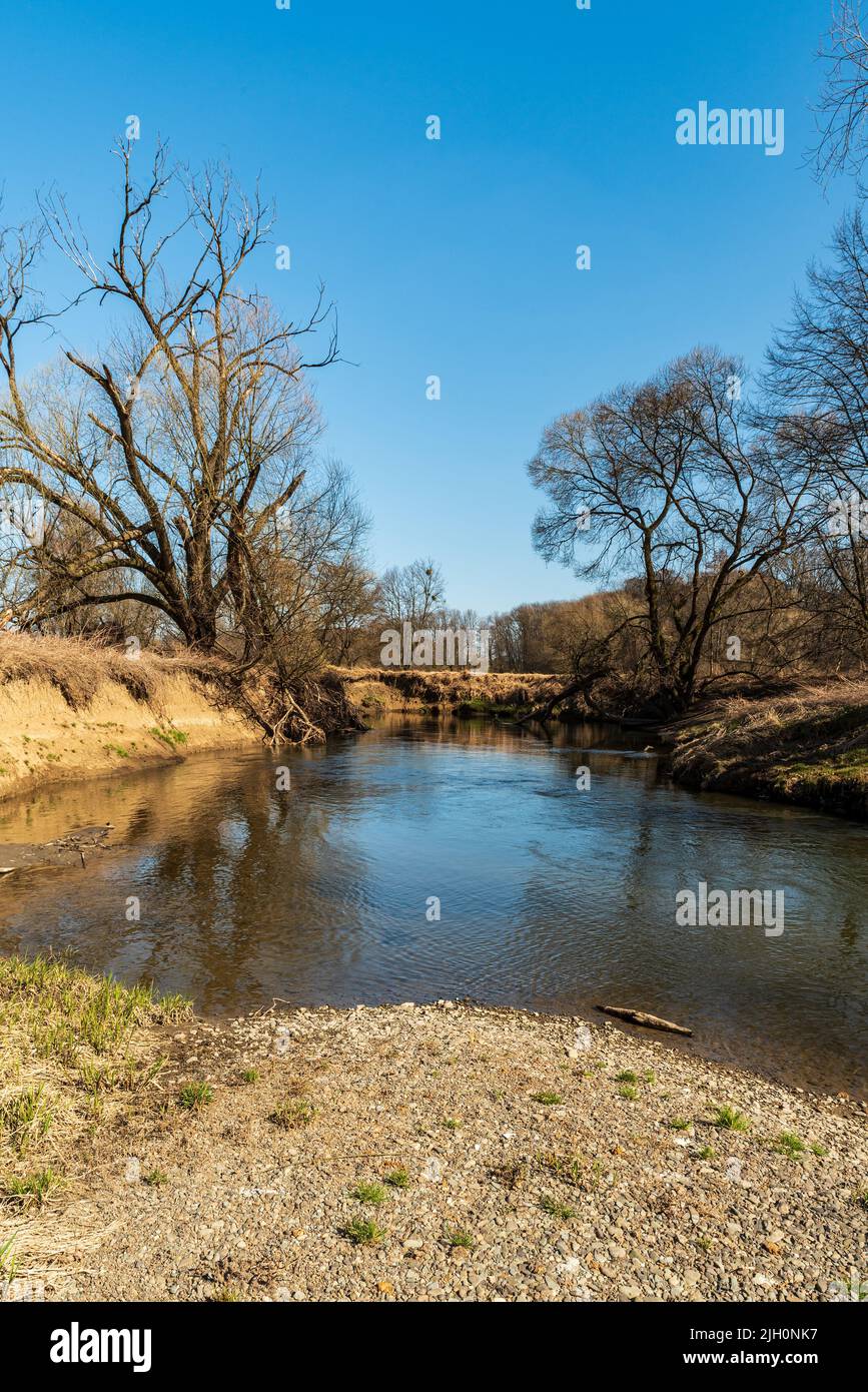 Odra river near Petrvaldik village in eatly springtime CHKO Poodri in Czech republic Stock Photo