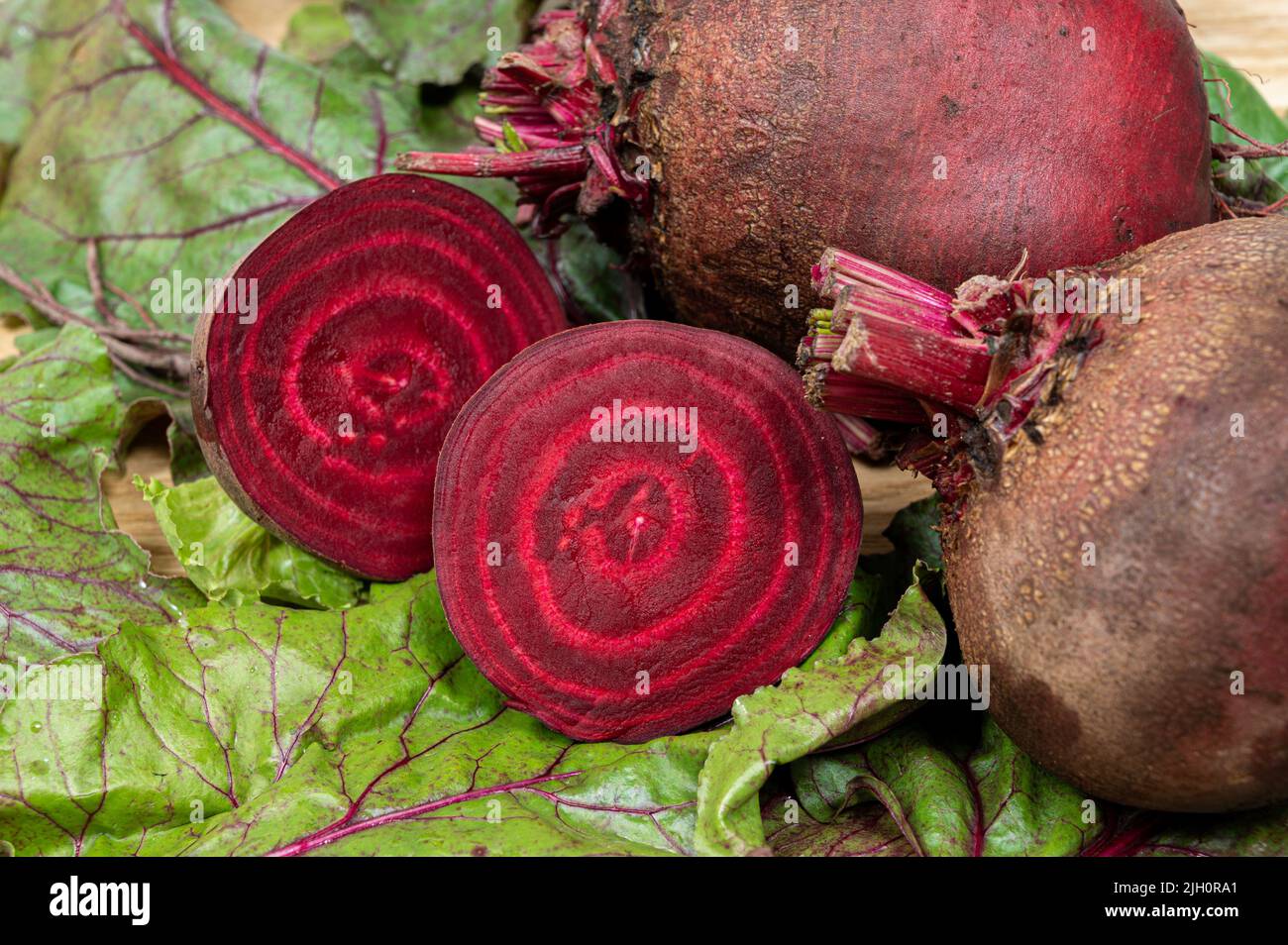 Fresh beets. Beets leaves and fresh beetroot. Stock Photo