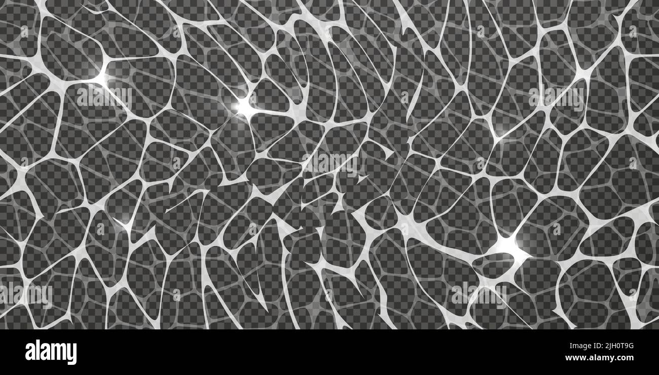 Transparent imitation of water movement under illumination. Top view of ...