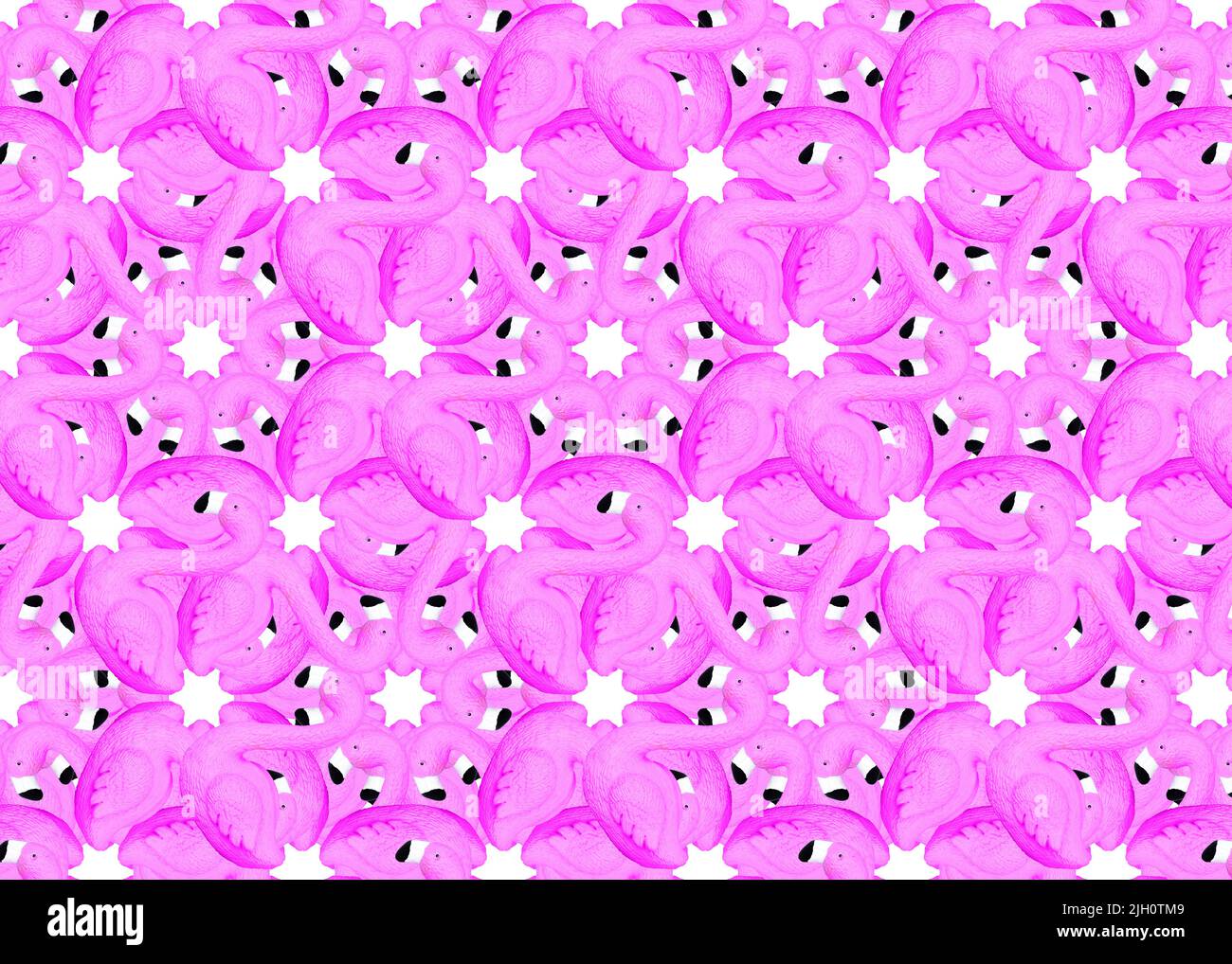 Pink flamingo and star circular pattern artistic background. Stock Photo