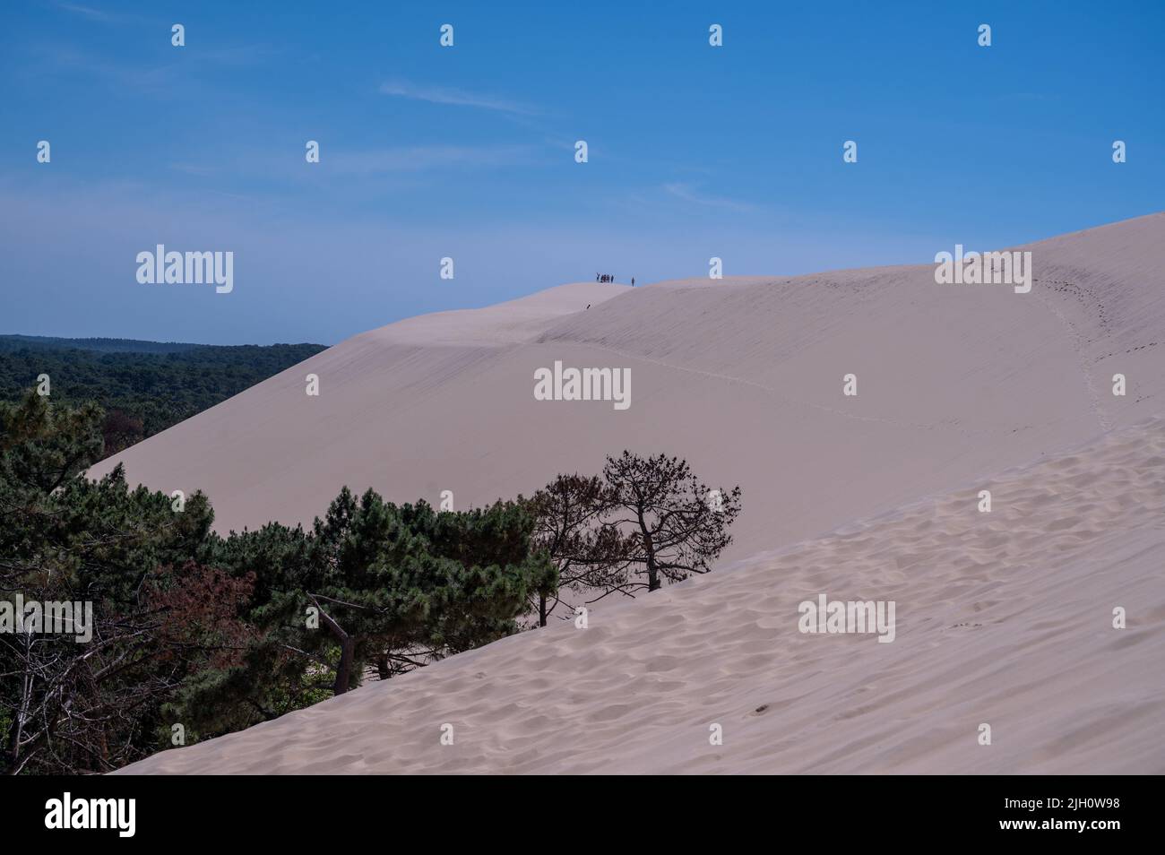 The Dune of Pilat also called Grande Dune du Pilat, the tallest sand dunes in Europe overlooking Arcachon Bay in France Stock Photo