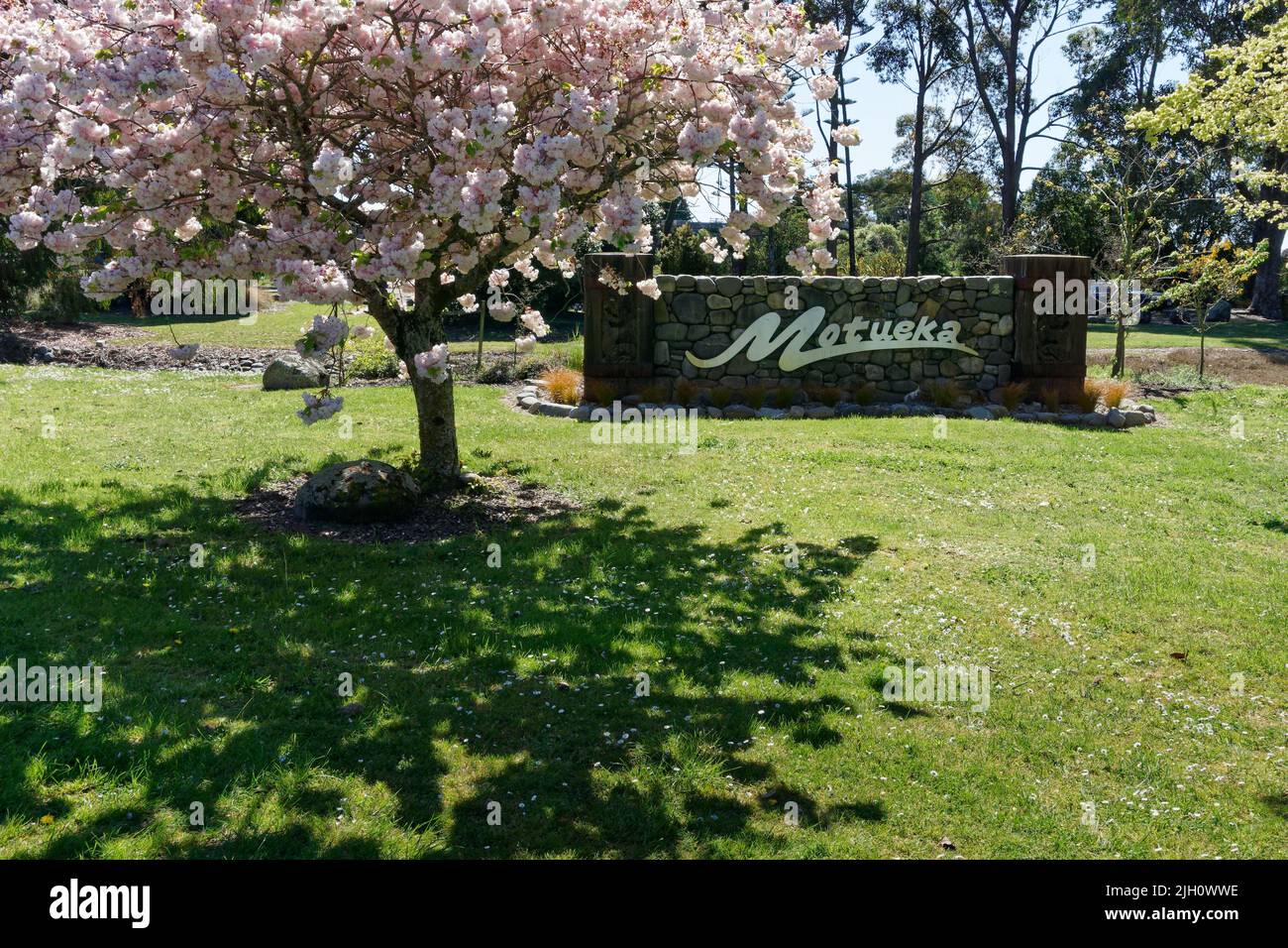 Motueka sign under spring blossom, Motueka, Tasman region, south island, Aotearoa / New Zealand Stock Photo