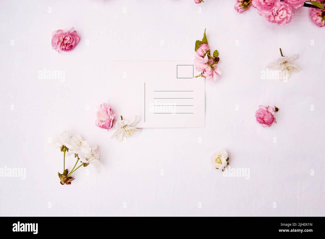 Spring delicate post card mock up with pink and white flowers. Woman's day, invitation, romantic, wedding, birthday, Mother's day card concept. Copy space. View from above. Stock Photo